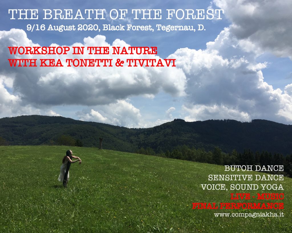 Copia di THE-BREATH-OF-THE-FOREST