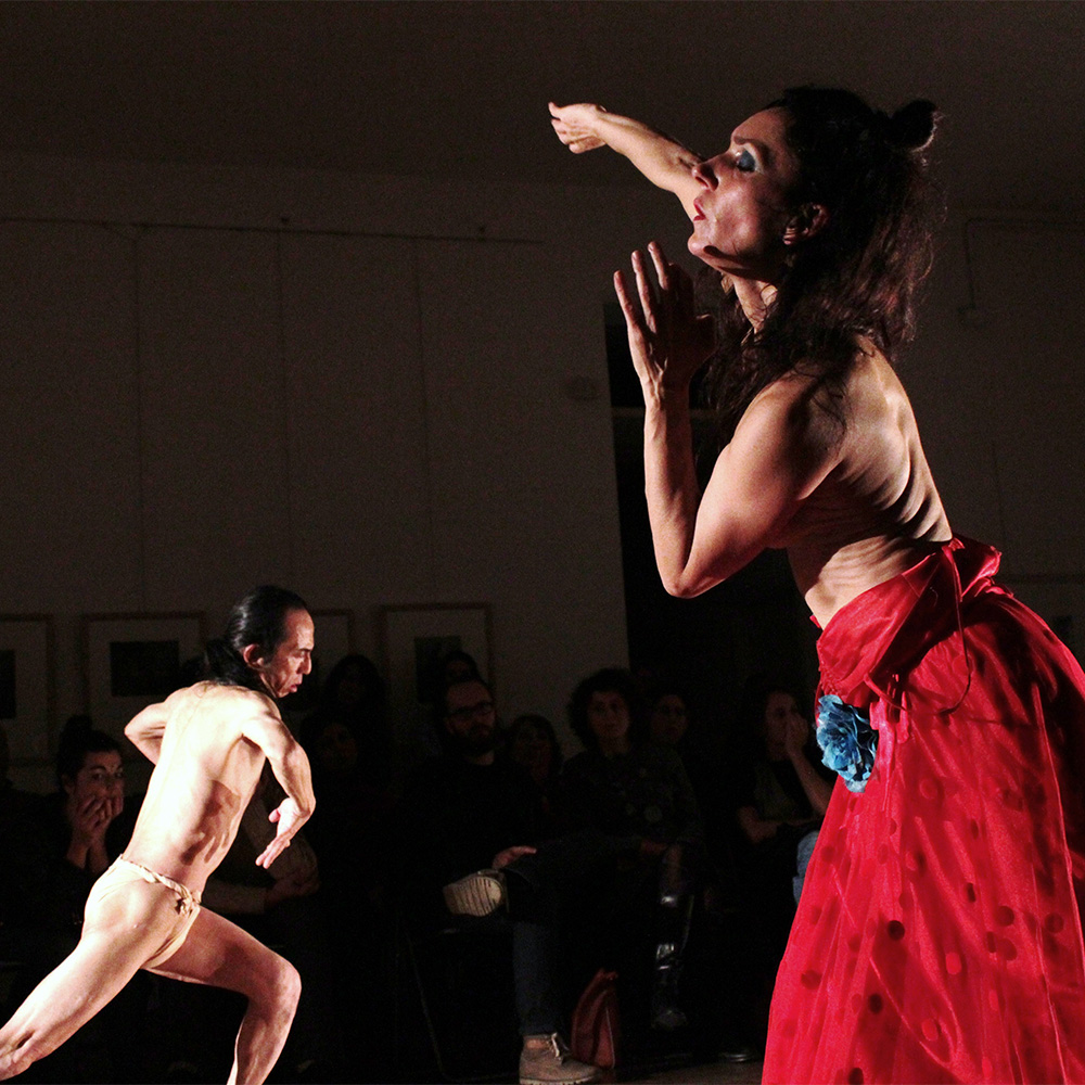 Hana no inochi – La vita del fiore